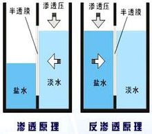 反滲透原理 超純水制取方法——反滲透法