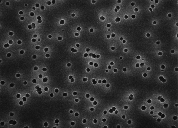 美國Millipore VCTP02500 Isopore聚碳酸酯0.1um親水表面濾膜