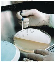 美國(guó)Merck Millipore默克密理博生命科學(xué)產(chǎn)品系列 美國(guó)Merck Millipore默克密理博生命科學(xué)產(chǎn)品系列