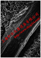 RW0304700密理博0.2um*47mm RW預(yù)過濾膜 RW0304700密理博0.2um*47mm RW預(yù)過濾膜
