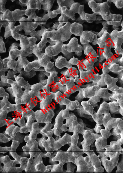 AG4502550 Millipore 0.45um*25mm親水光面銀膜 AG4502550 Millipore 0.45um*25mm親水光面銀膜